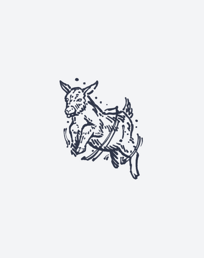 Aether Hooves