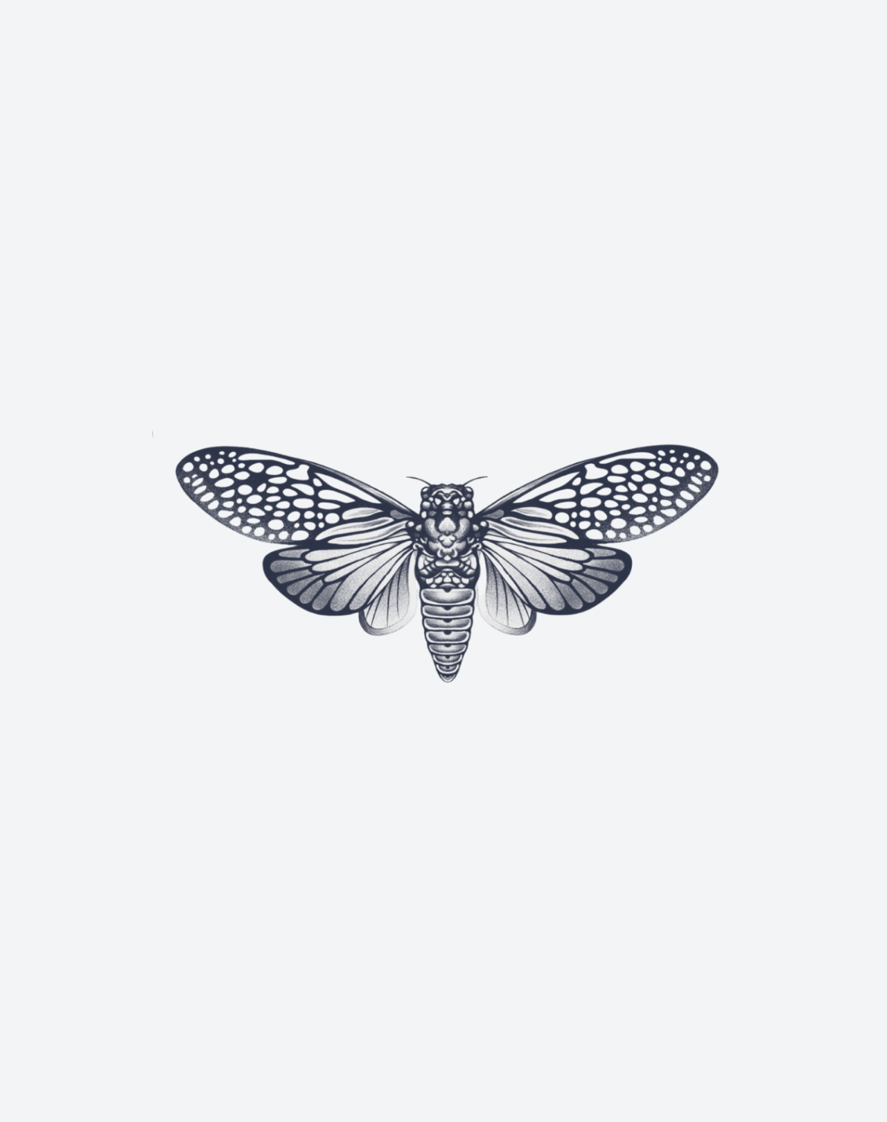 Cicada's Song