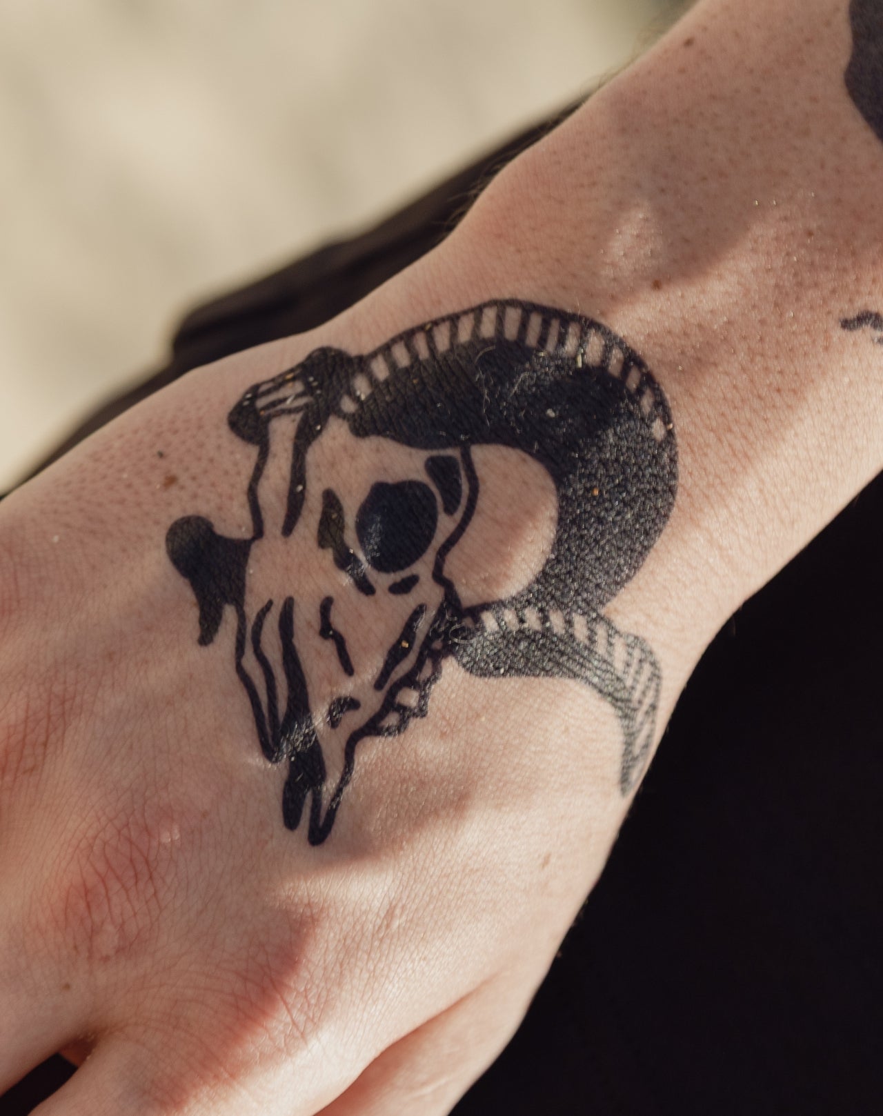 Desert Skull