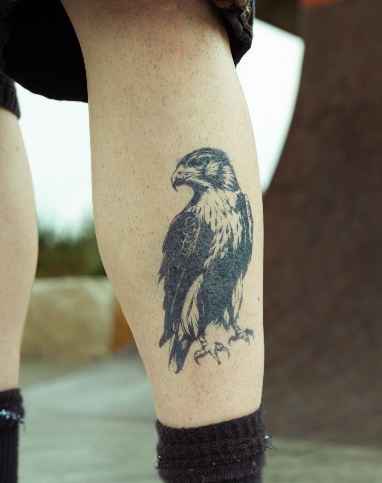 Eagle