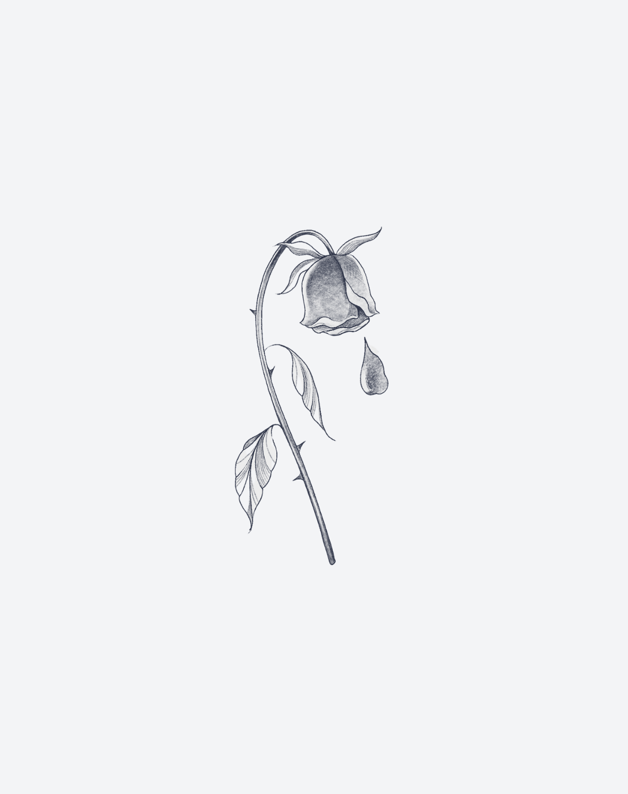 End of Bloom