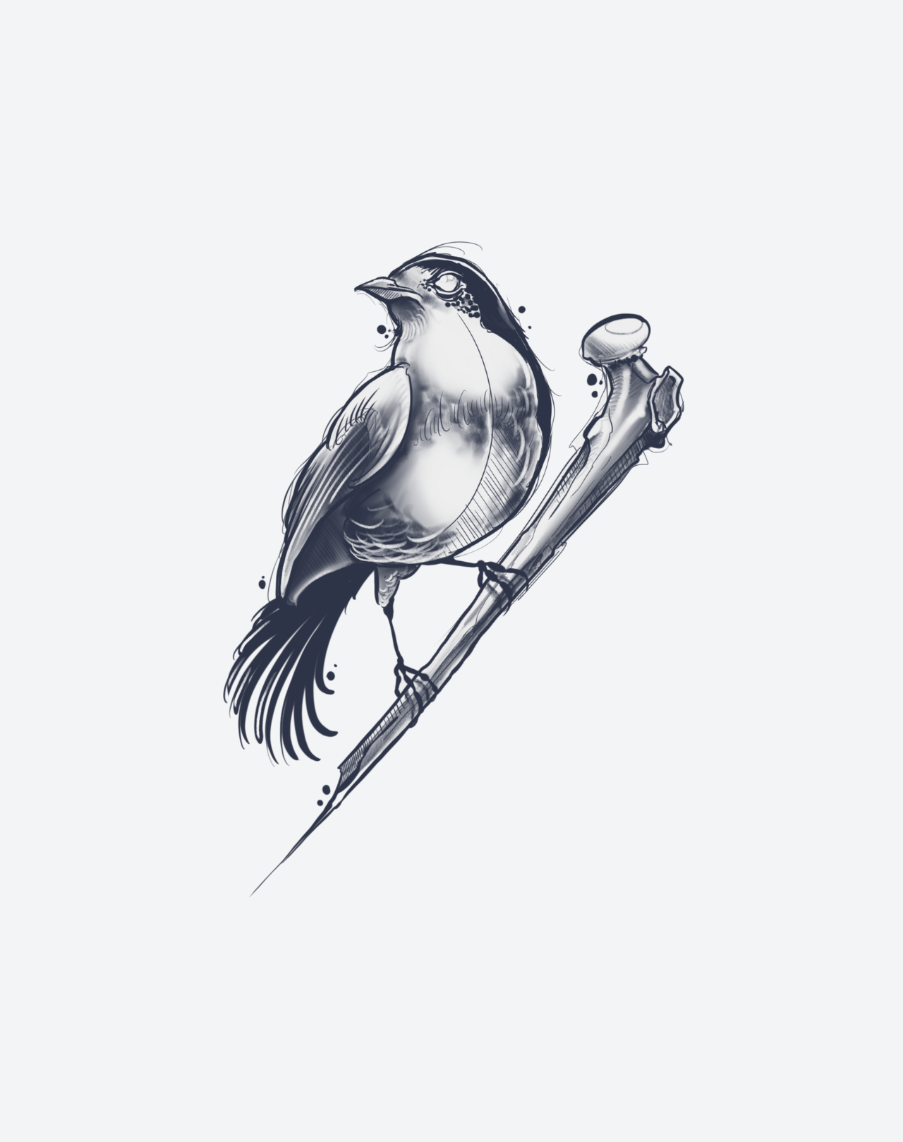 Feathered Flesh