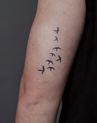 Flying Birds