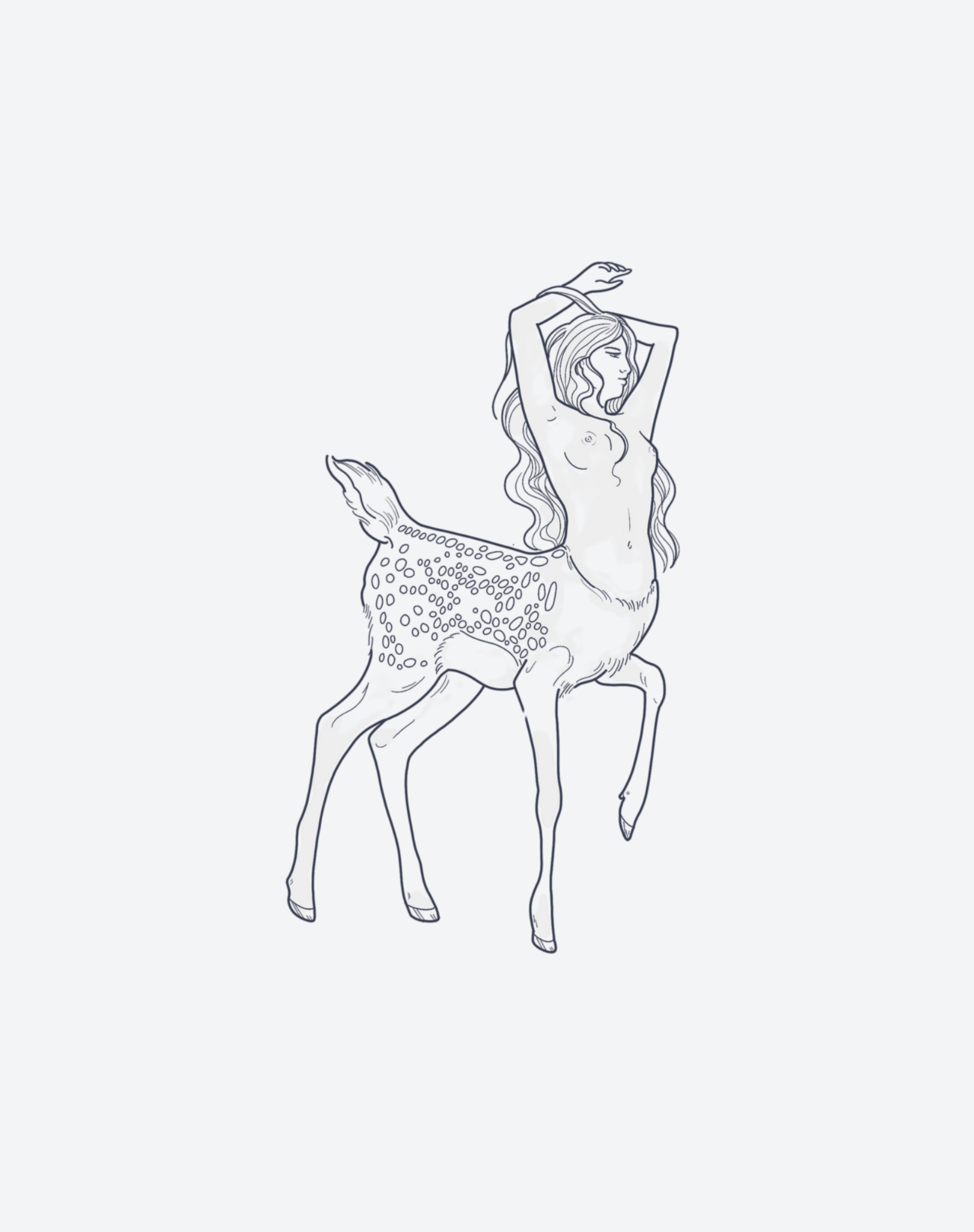 Forest Muse