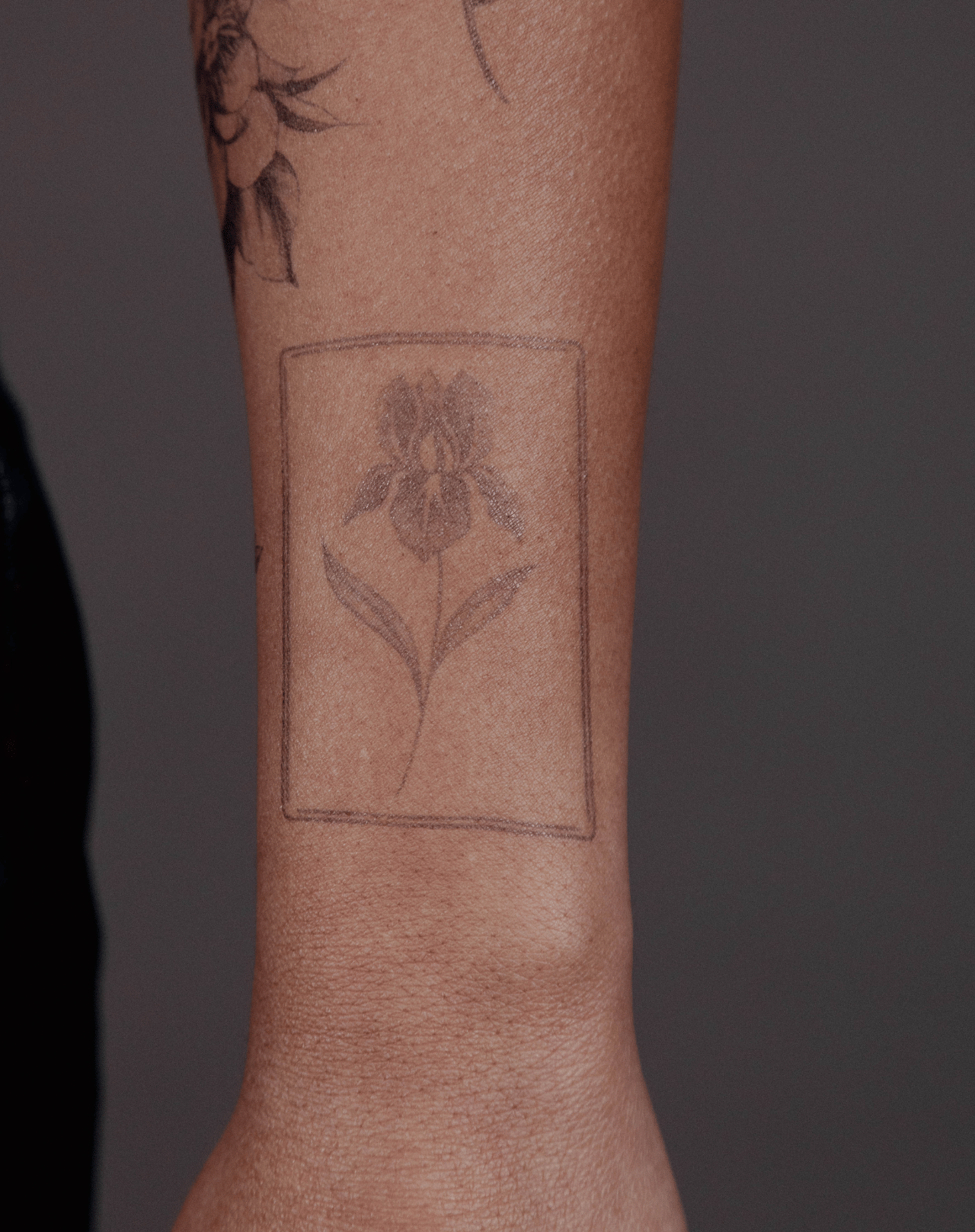 Iris