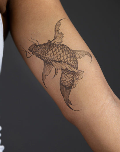 Koi