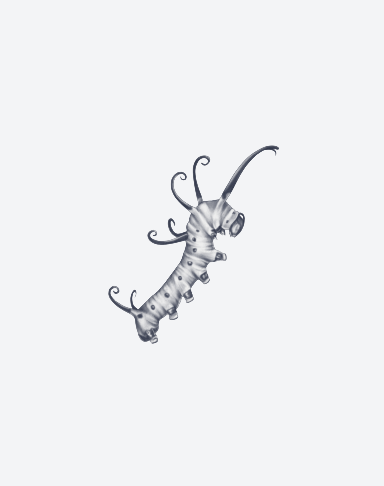 Larva