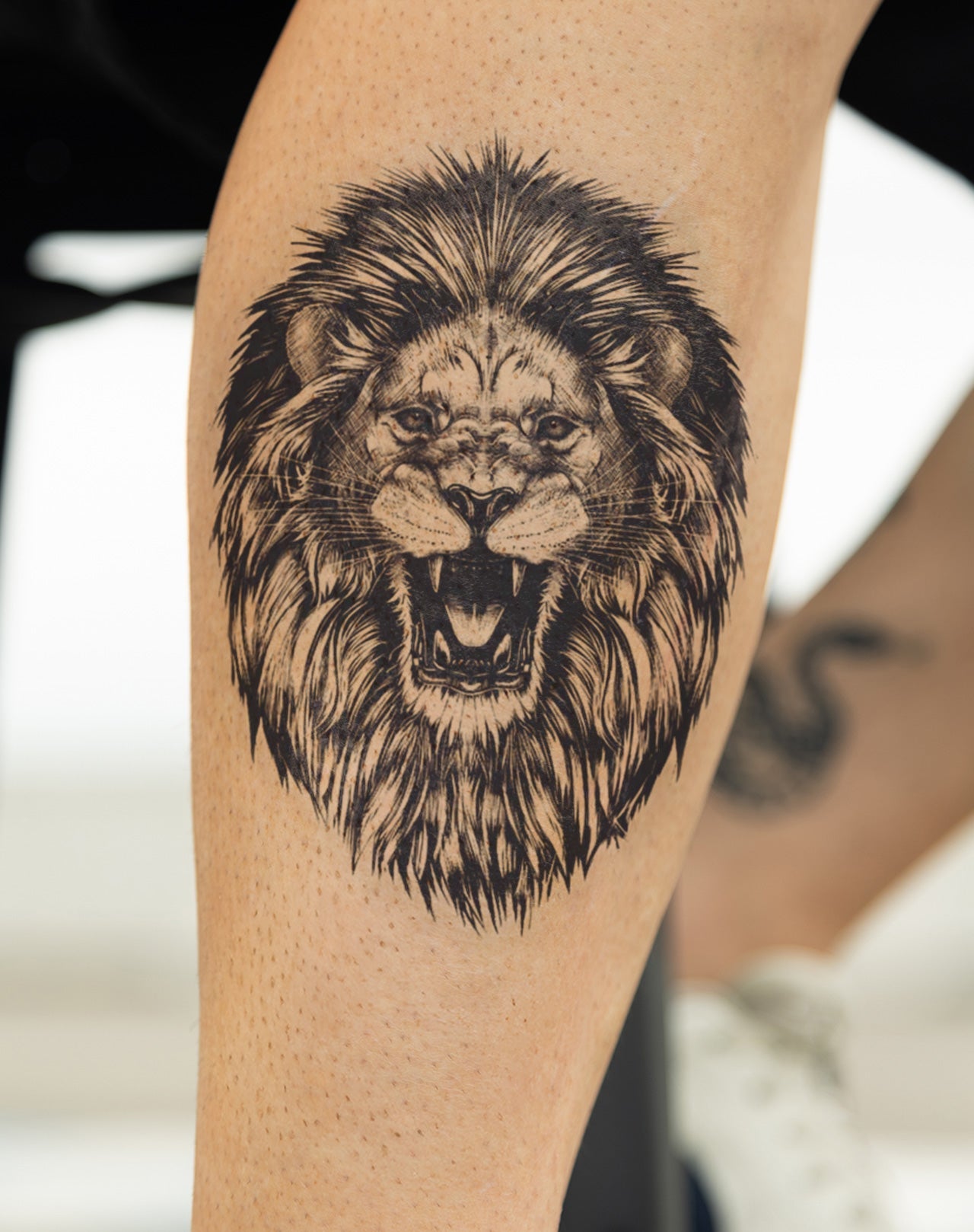 Lion's Head