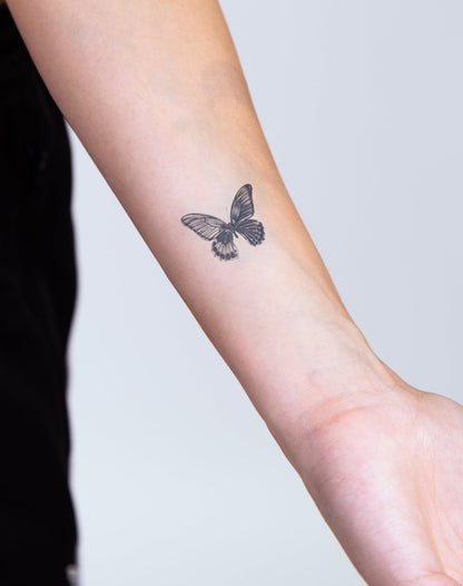 Nocturne in Flight