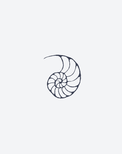 Ocean Keepsake