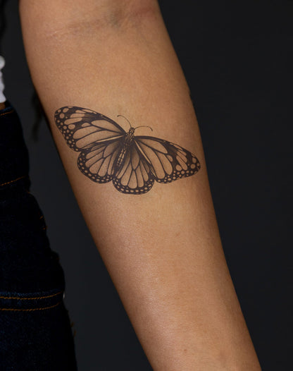 Papillon Noir