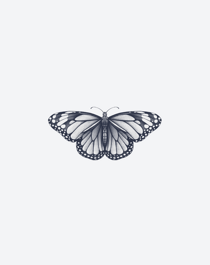 Papillon Noir