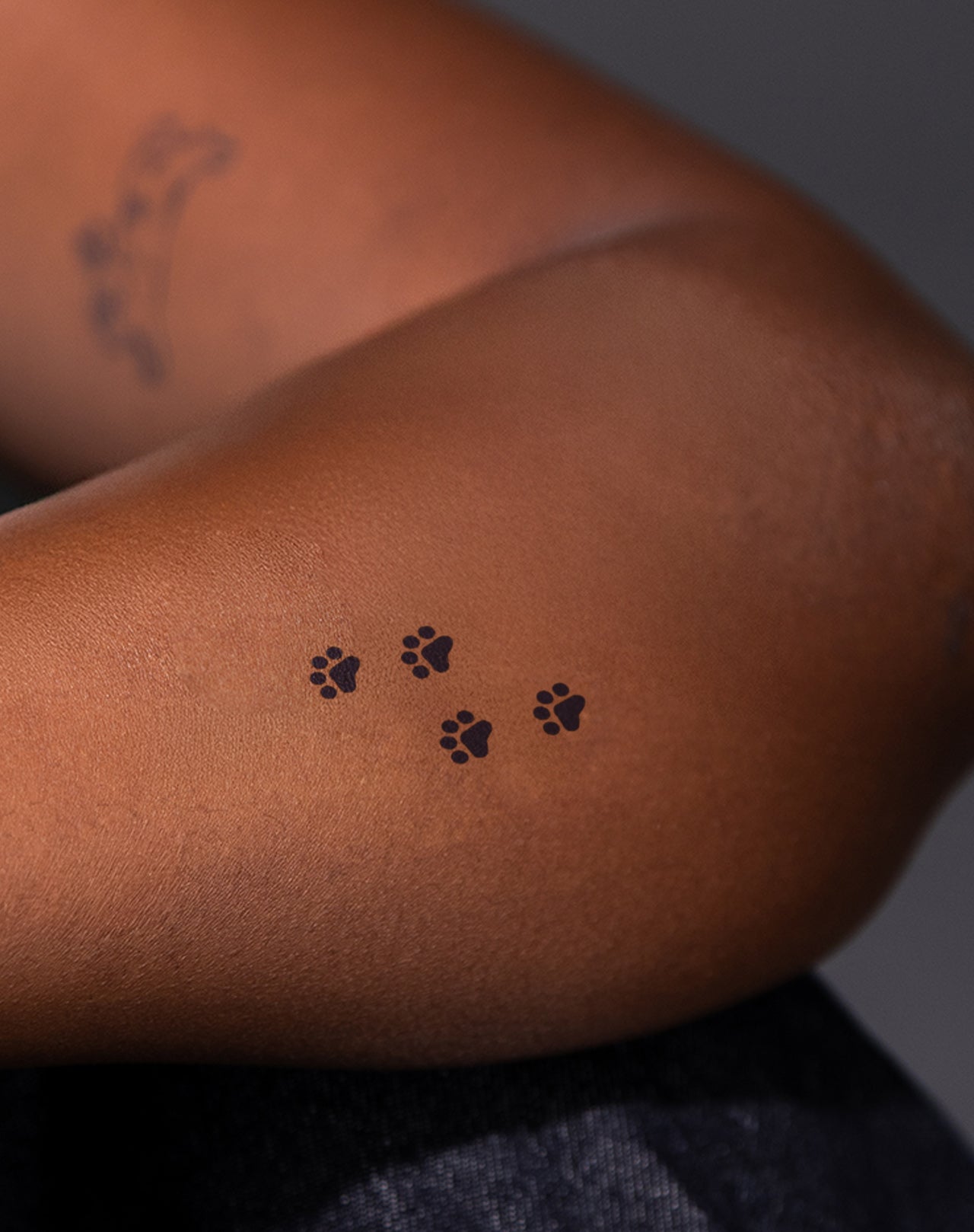 Paw Prints