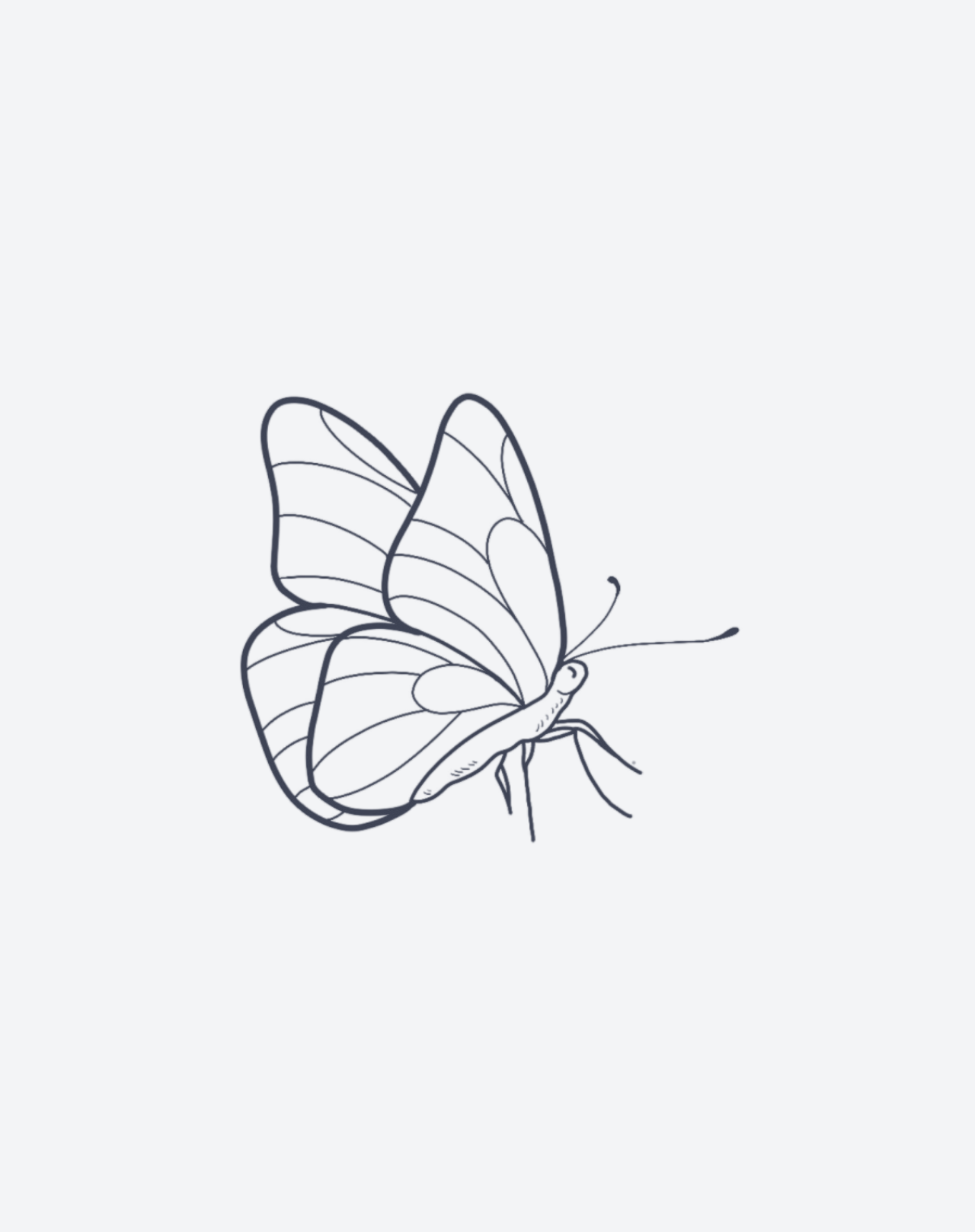 Petite Papillon