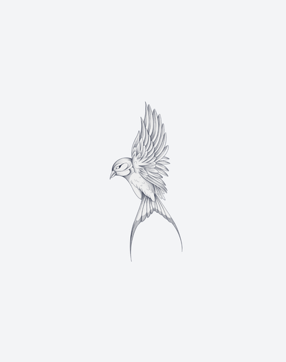Soars