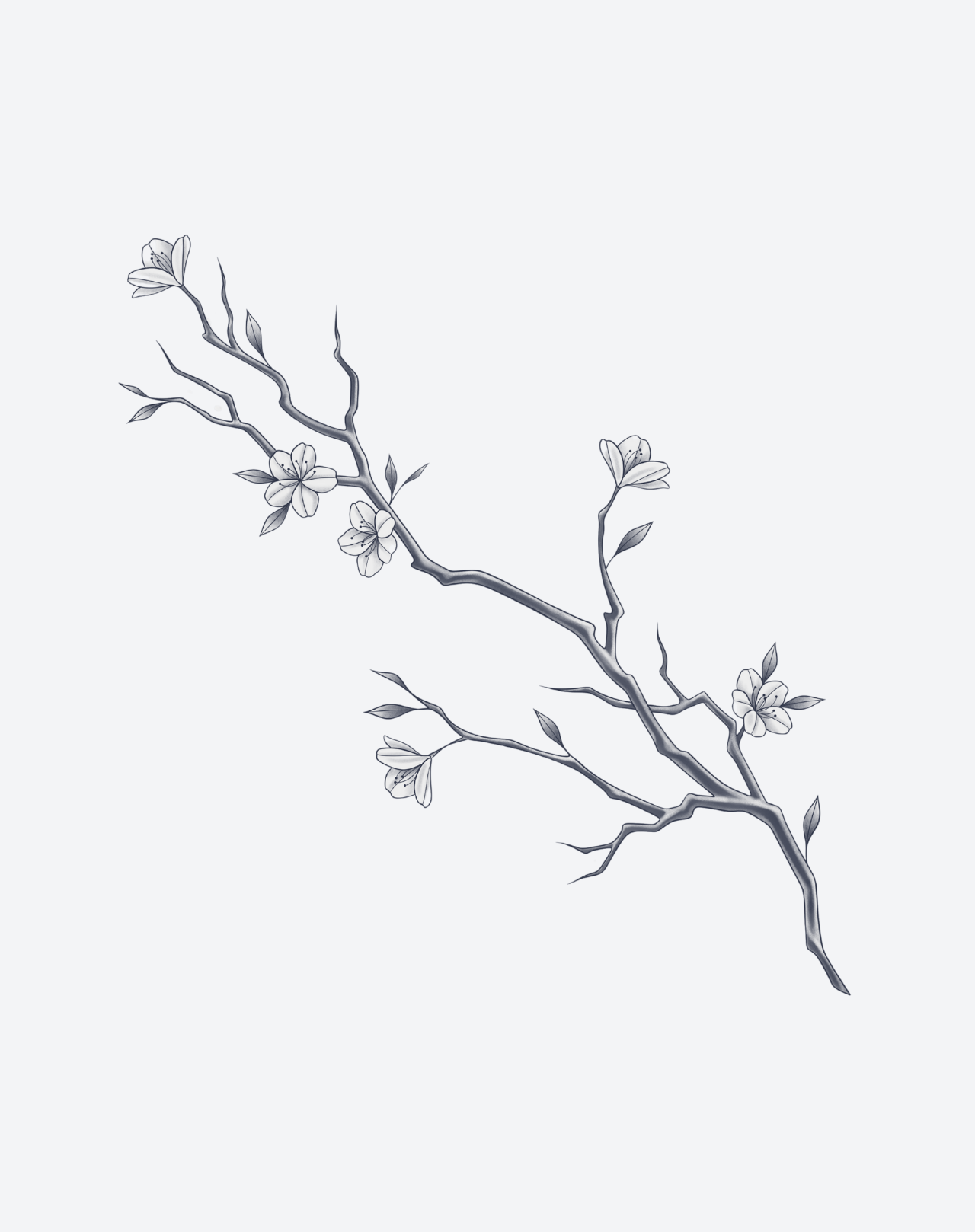 Spring Whisper