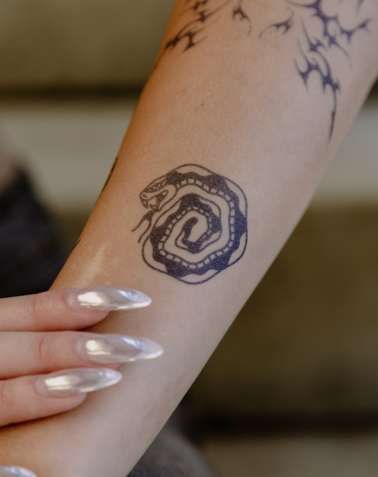 Swivel Snake
