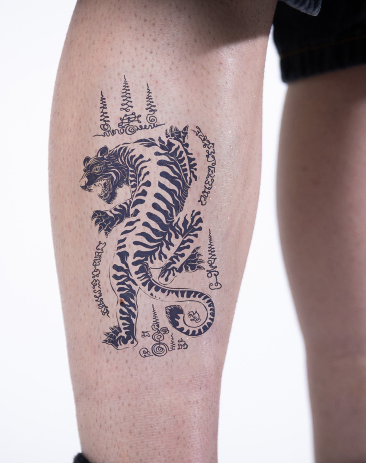 Thai Tiger
