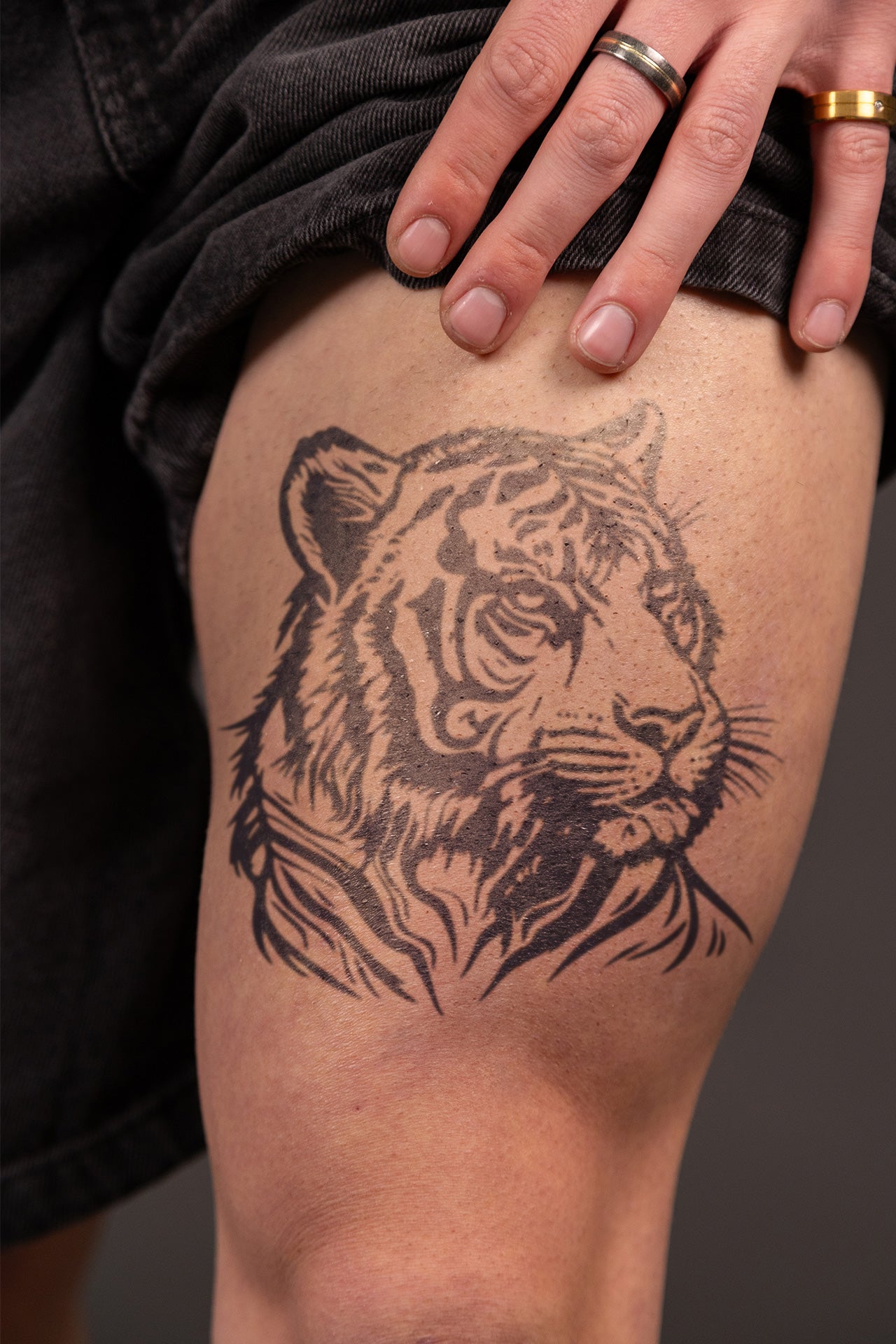 Tiger's Head