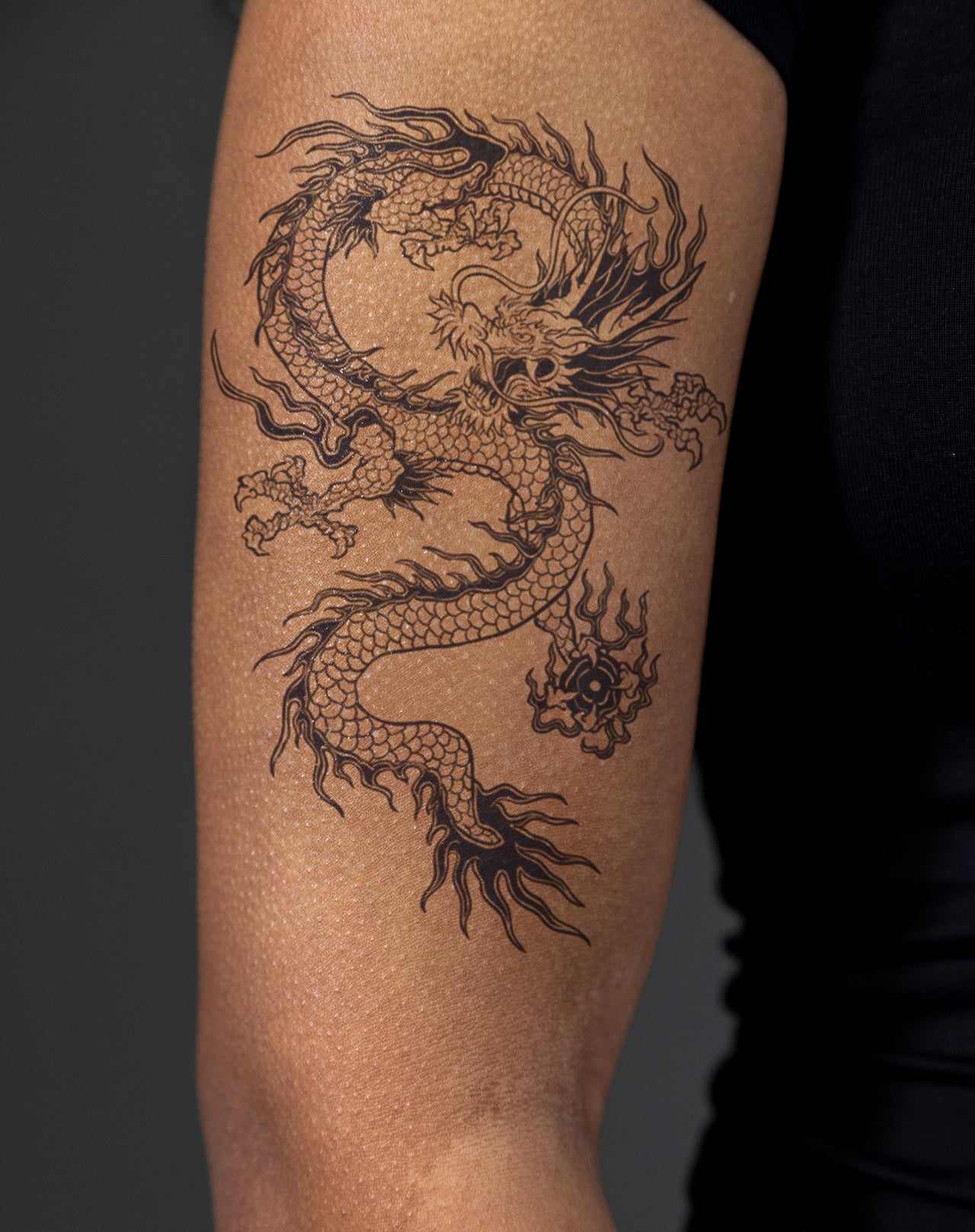 Traditional Japanese Dragon v2