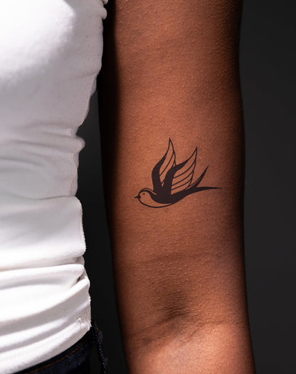 Traditional Swallow