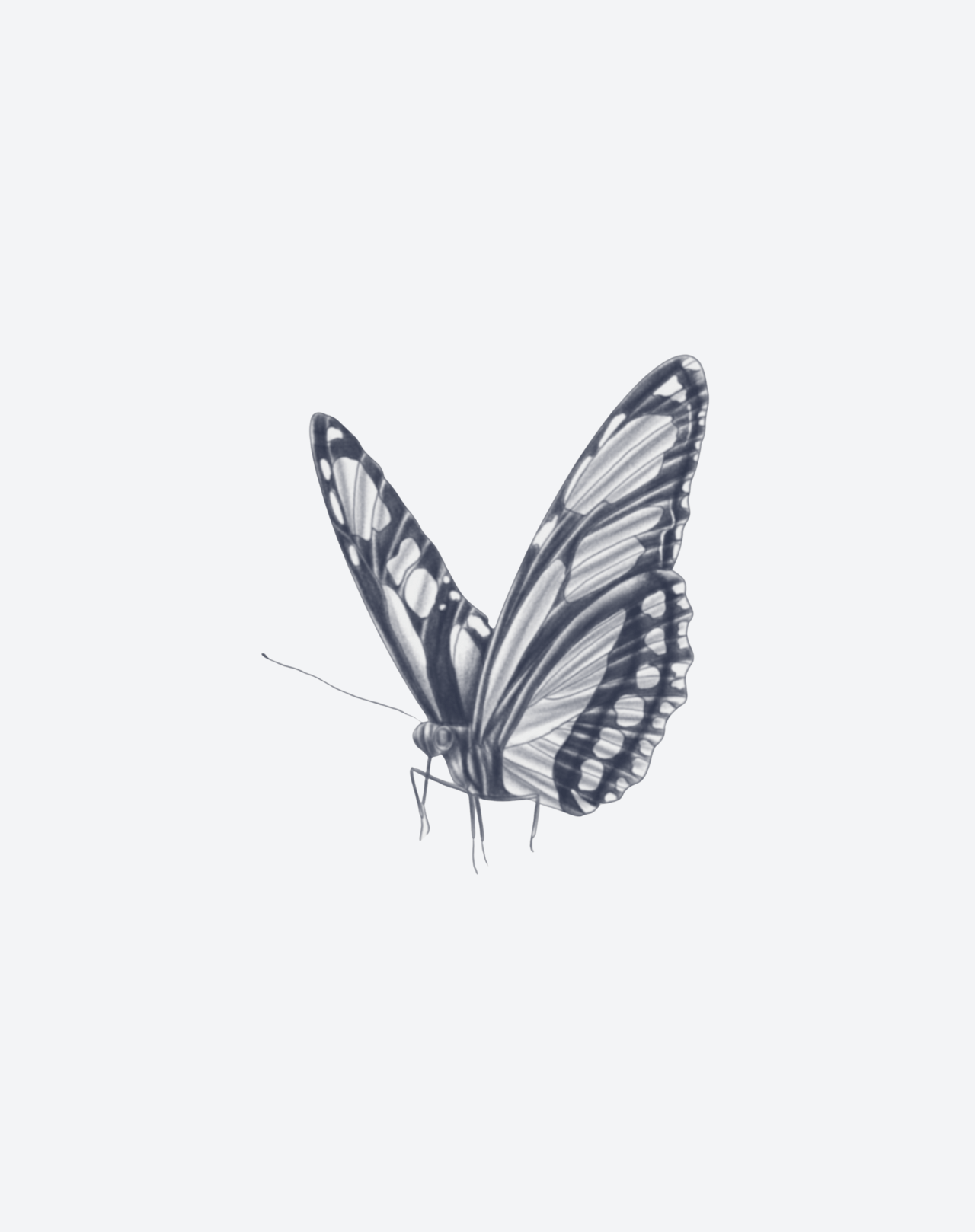 Veins of Change
