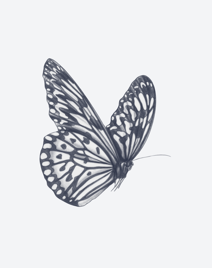 Winged Whimsy