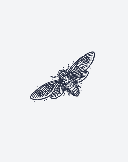 Wings of Decay