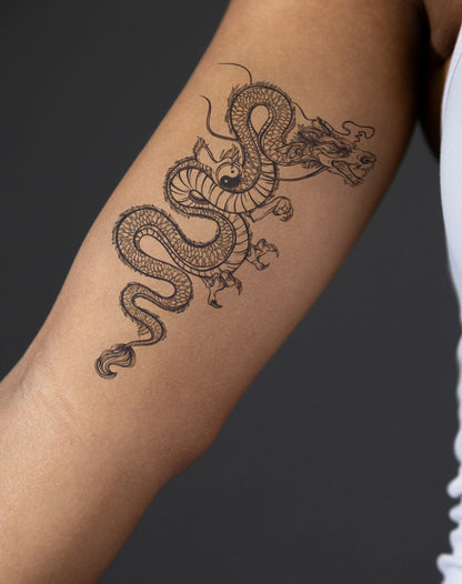 Yin Yang Dragon