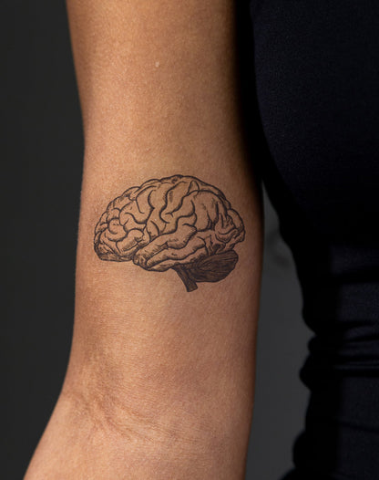 Brain
